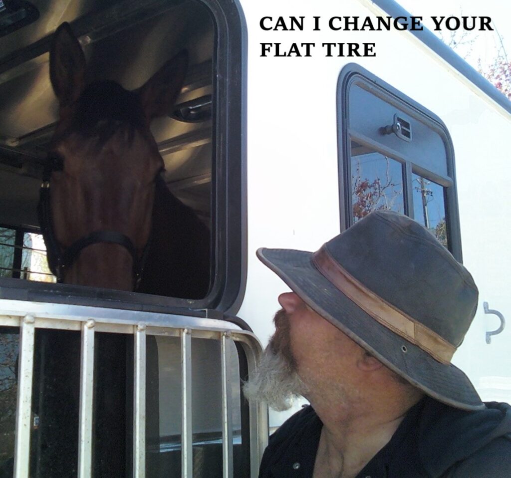 A man with a hat leans toward a horse in a trailer, humorously asking if he can change its flat tire. The scene captures a playful interaction.
